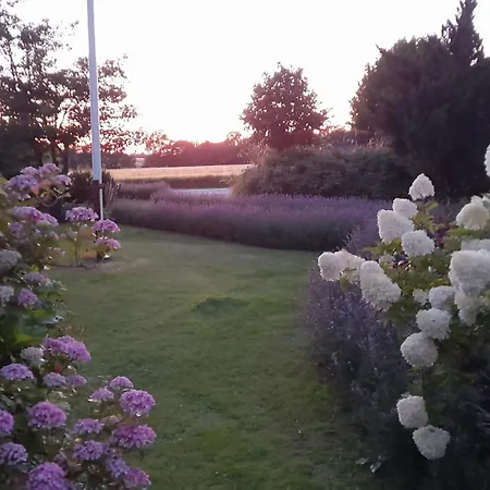 Appartement Guldbjerghus *